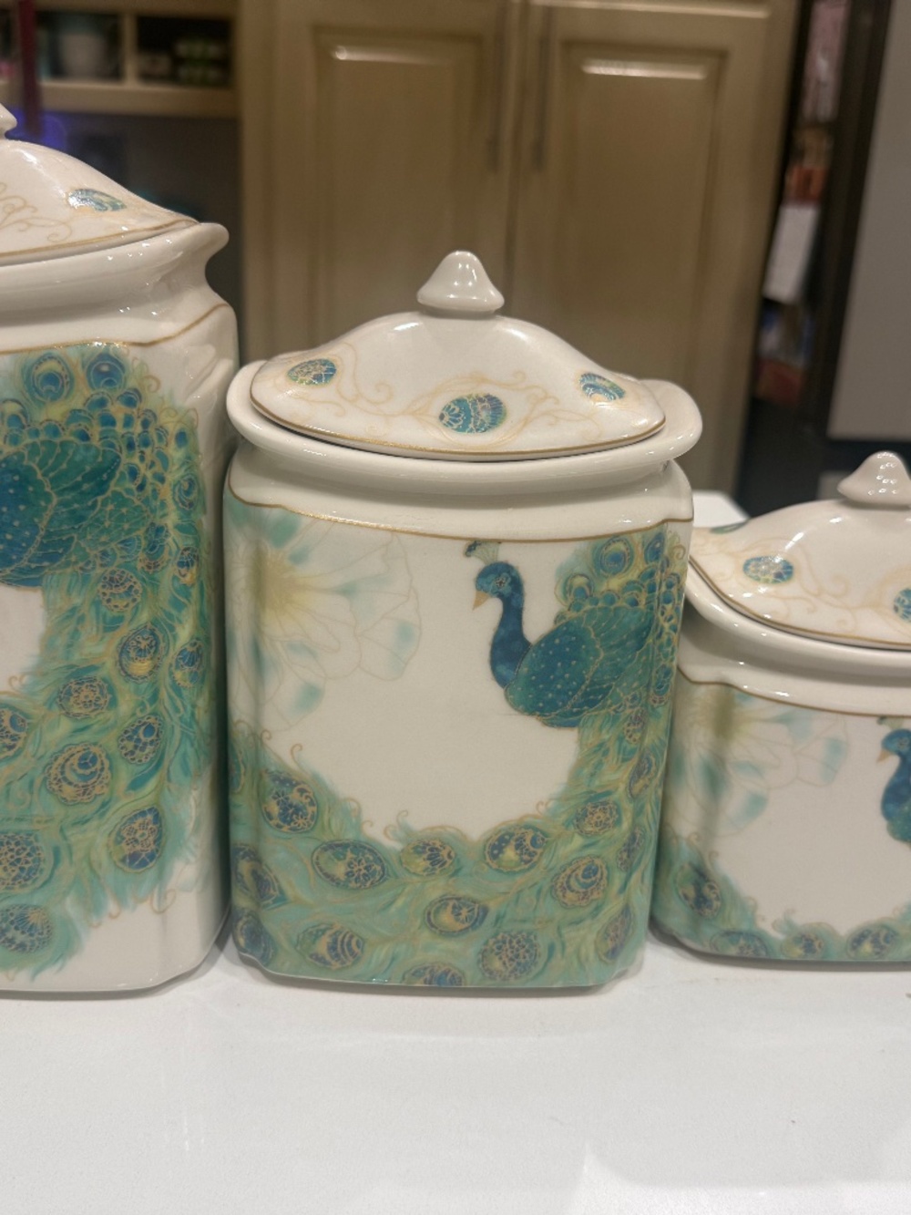 Peacock Lakshimi Three Piece Canister Set by 222 Fifth